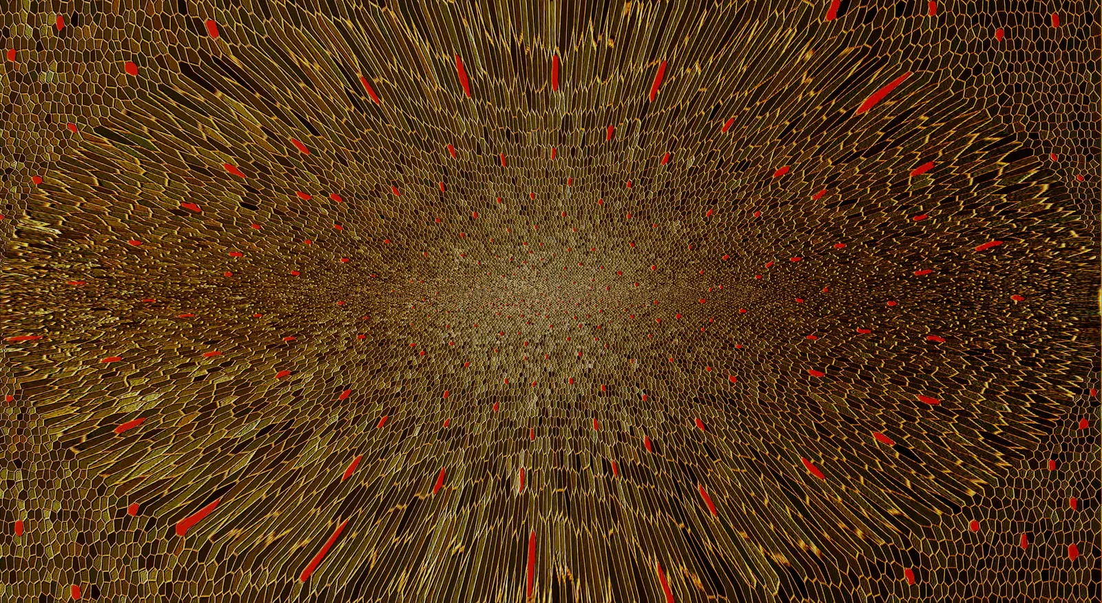 Redes) — abstract art